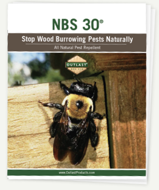 NBS 30 PDF Cover